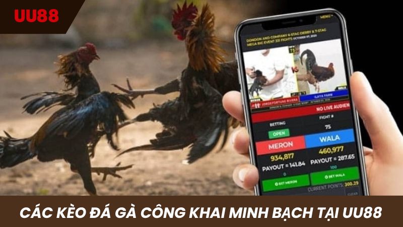 Các kèo cược luôn được hiển thị công khai minh bạch