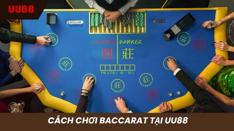 Quy trình chơi baccarat hiệu quả tại UU88