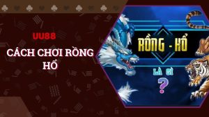 Khám phá cách chơi rồng hổ dễ hiểu nhất cho anh em