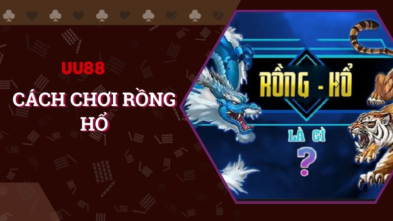 Khám phá cách chơi rồng hổ dễ hiểu nhất cho anh em
