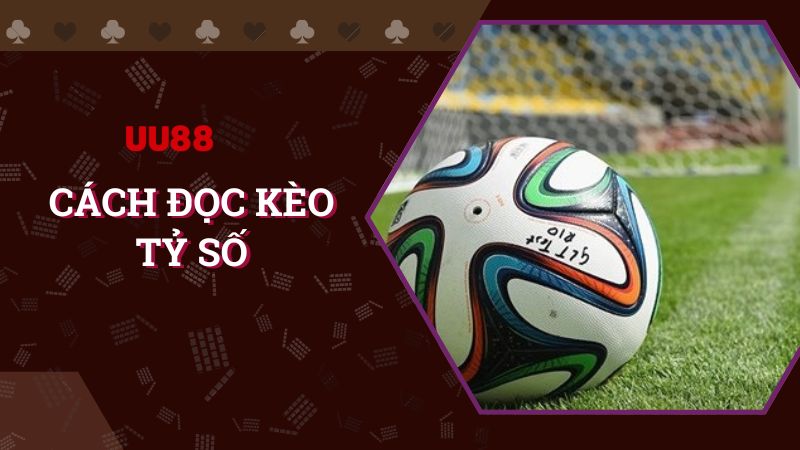 Khám phá cách đọc tỷ lệ kèo chuẩn xác nhất