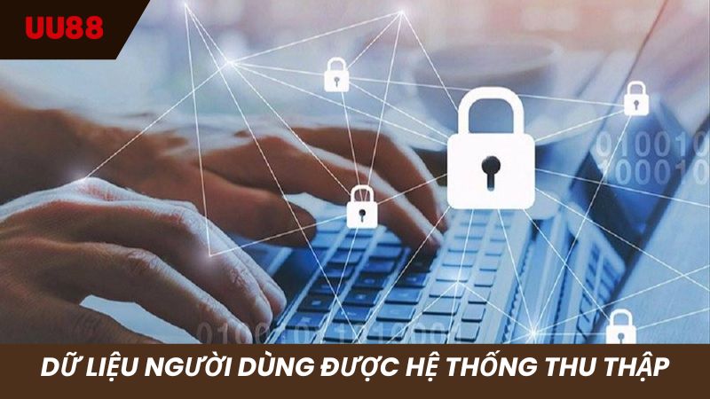 Dữ liệu người chơi được hệ thống thu thập