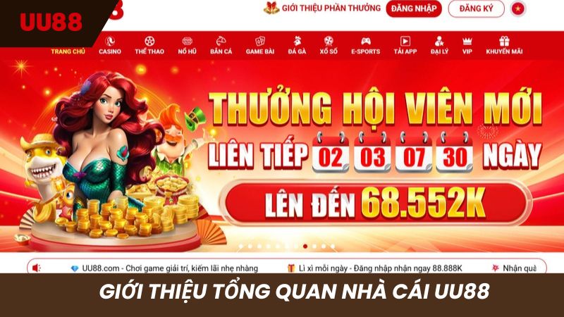 Sân chơi chính thức đưa vào hoạt động năm 2019