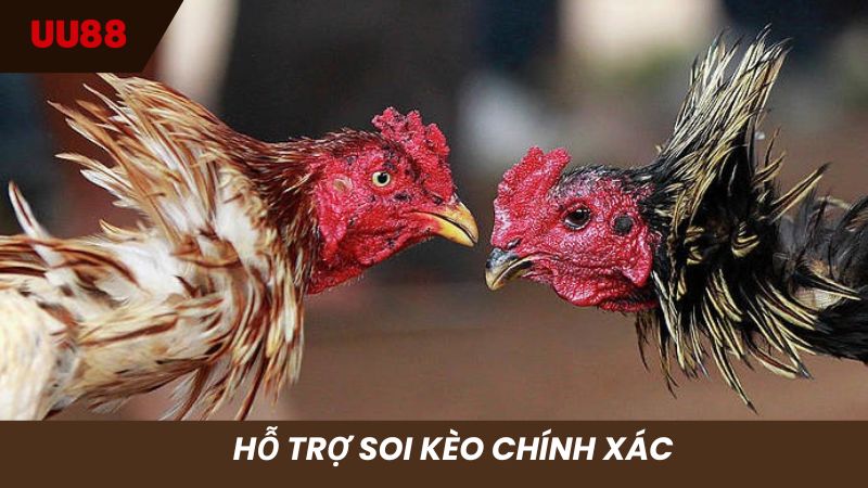 Hệ thống hỗ trợ soi kèo thông minh, chính xác