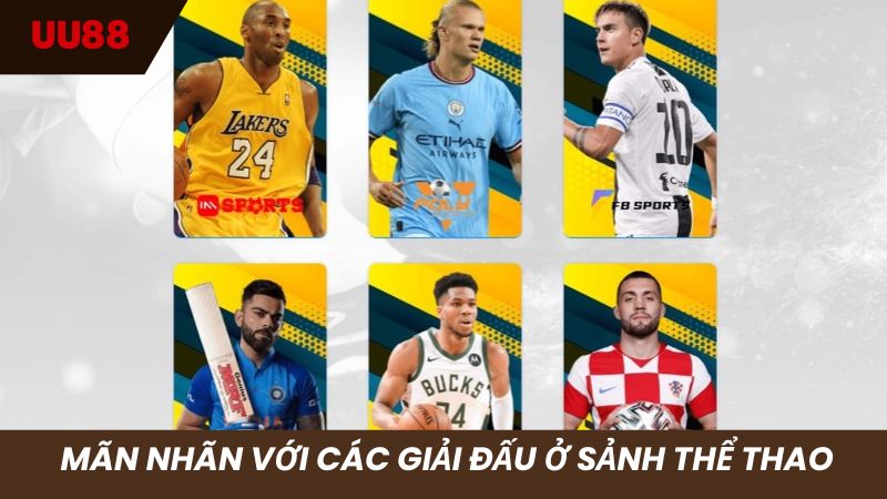 Mãn nhãn với các kèo bóng ở sảnh Thể thao