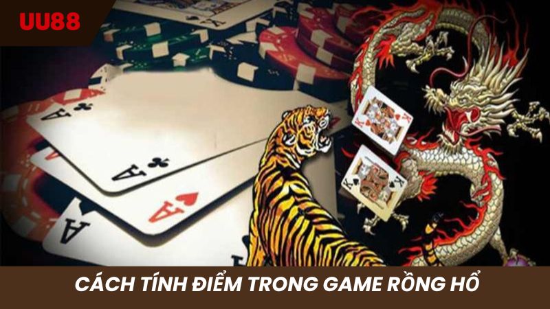 Hướng dẫn tính điểm chuẩn khi chơi rồng hổ