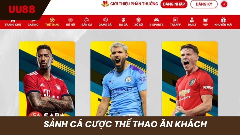 Trải nghiệm cá cược thể thao với các giải đấu hàng đầu