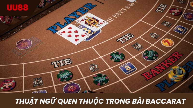 Bỏ túi các thuật ngữ quen thuộc hay gặp khi chơi baccarat
