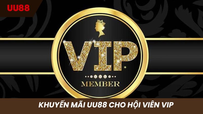 Khuyến mãi, CSKH tận tình đối với hội viên VIP